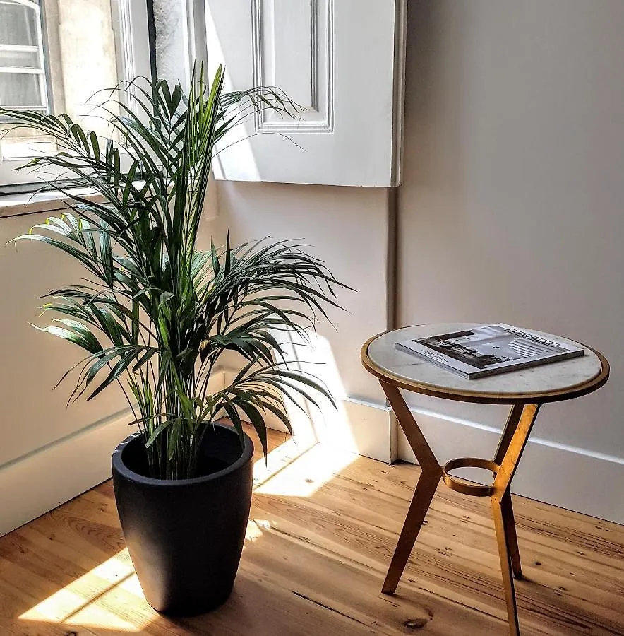 Apartment Comfort In The Center Of Lisbon Portugal
